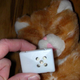 Illustration for article titled If You Can't Buy It, Build It: Wanky The Safety Cat